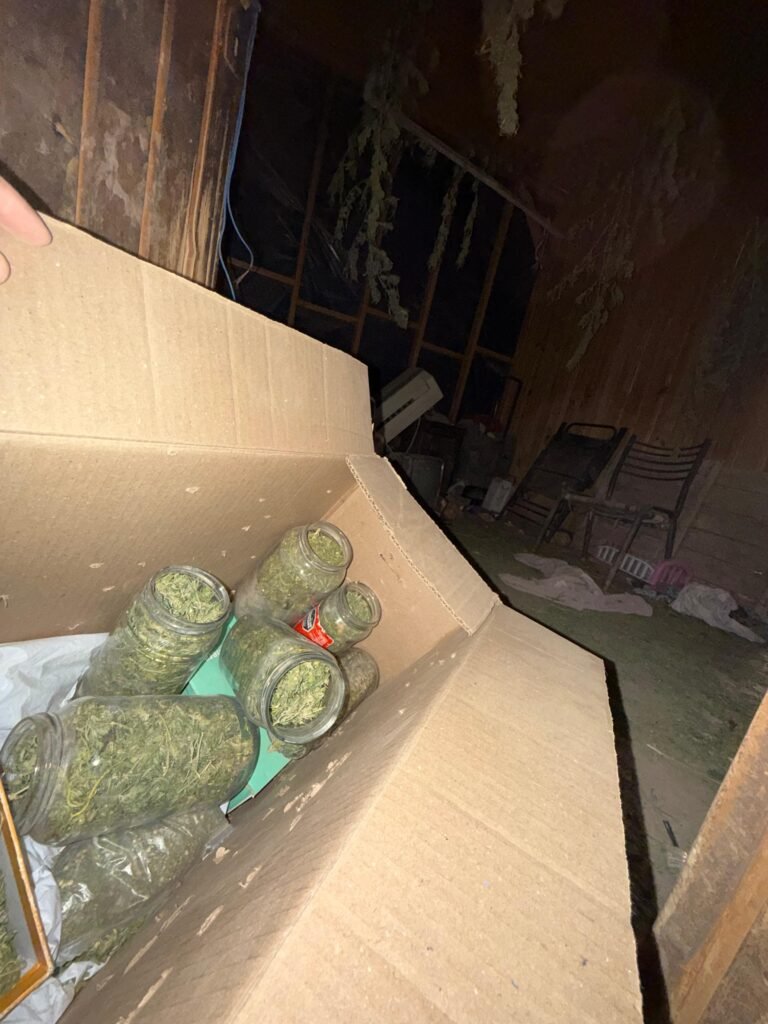Allanamientos en Pocito: armas, drogas y animales silvestres secuestrados